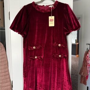 Entro Velvet Mini Dress in Deep Red